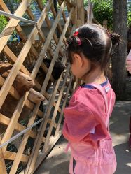 -萌宠亲子动物乐园(槐房万达店)