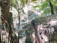 -北京上方山国家森林公园
