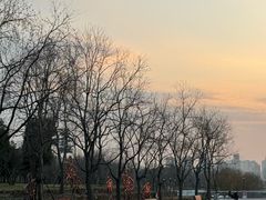 -上海山野camping·户外天幕烧烤·团建拓展营地