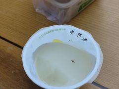 杏仁豆腐-奶酪魏(牛街总店)