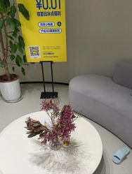 -美丽妈妈产后恢复中心(三林店)