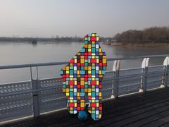 -大兴滨河森林公园