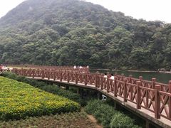 -广州市石门国家森林公园