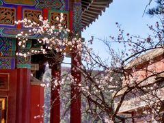 -须弥福寿之庙