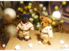 -济州岛泰迪熊博物馆