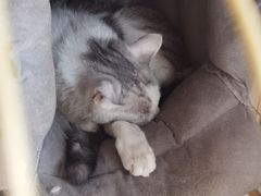 -青春加萌照相馆