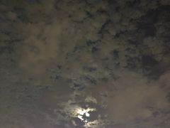 -建基泡馍·西安老字号·清真(永宁店)