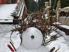 -武陵山森林公园