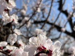 -鹫峰国家森林公园