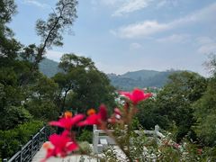 -顺峰山公园