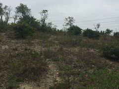 -原山国家森林公园