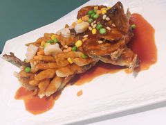 松鼠桂鱼-洋洋中餐馆·SINCE 1997(信投店)