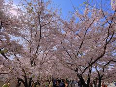 -龙美术馆(西岸馆)