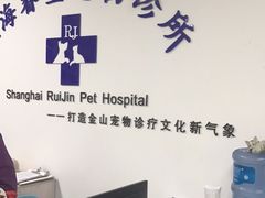 -睿金宠物医院·CT·肿瘤·骨外科