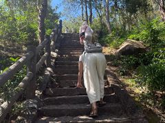 -玉苍山国家森林公园