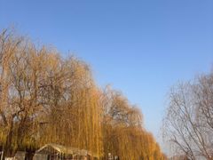 -沙澧河风景区
