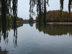 -贡湖湾湿地公园