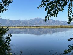-野鸭湖国家湿地公园