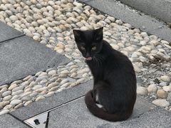 -扬州瘦西湖温泉
