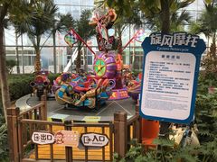 -南宫五洲植物乐园