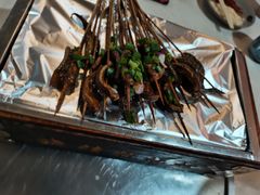 鳝鱼-晓靖轩烧烤(沙河风情店)