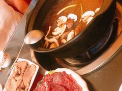 -乳仔牛牦牛汤锅 烤羊排(松潘古城店)