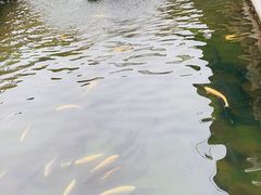 -京北渔家傲