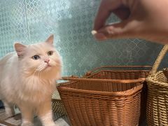-小时光咖啡馆(开森度假森林店)