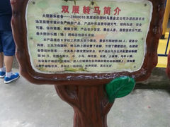 android_upload_pic-逍遥津公园