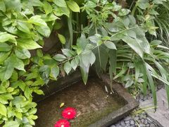-都氏家DUSJOY(翡翠城店)