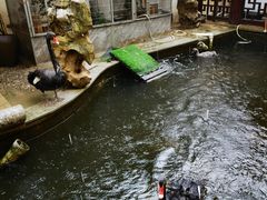 -湖鲜楼