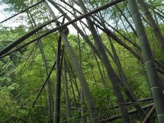 -会稽山峡洞漂流-上青古道