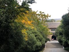 -灵谷景区