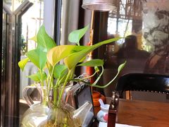 -肴约·花园式餐厅(湖里店)