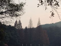 -东湖磨山景区