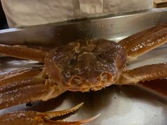 -綱元·海鲜豆捞(明州里店)