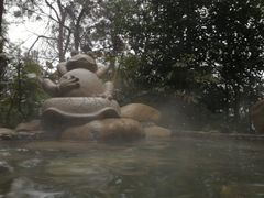 -天目湖涵田半山温泉