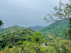 -梧桐山风景名胜区
