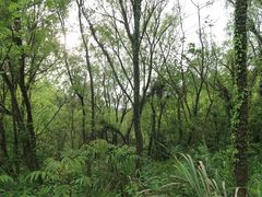 -西湖风景区-江洋畈生态公园