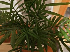 -瓦舍茶馆(聚源路店)