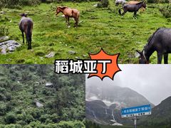 -稻城亚丁景区