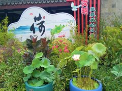 -无锡蠡湖国家湿地公园-蠡园