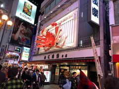 -蟹道乐(道顿堀本店)