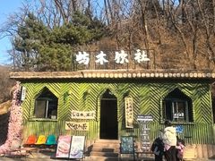 -鲁山国家森林公园