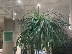 -mYSTEPS健身运动馆(古北店)