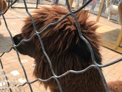 -长白岛森林公园