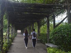 -大屏嶂森林公园