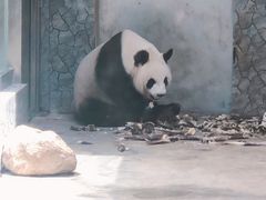 -西安秦岭野生动物园