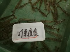 -海鮮寿司とれとれ市場
