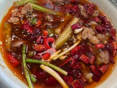 -杨氏青龙虾·羊蝎子(珠江路店)
